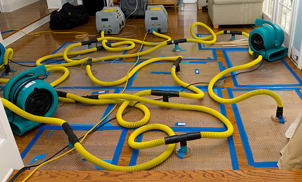 Professional Basement Flood Cleanup technician working in Town Creek, AL